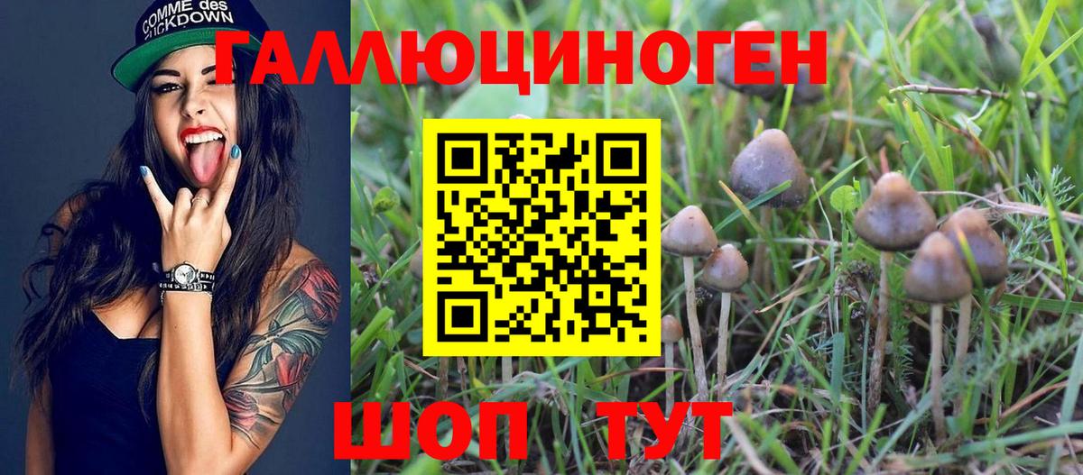 Галлюциногенные грибы ЛСД Черногорск